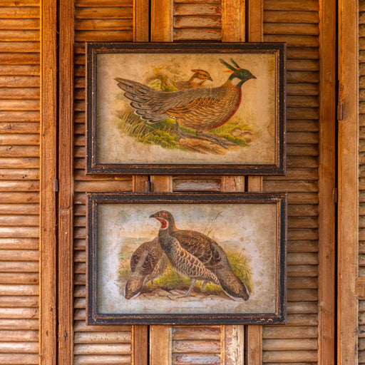 Pheasants Prints (Set of 2) - Bratton House