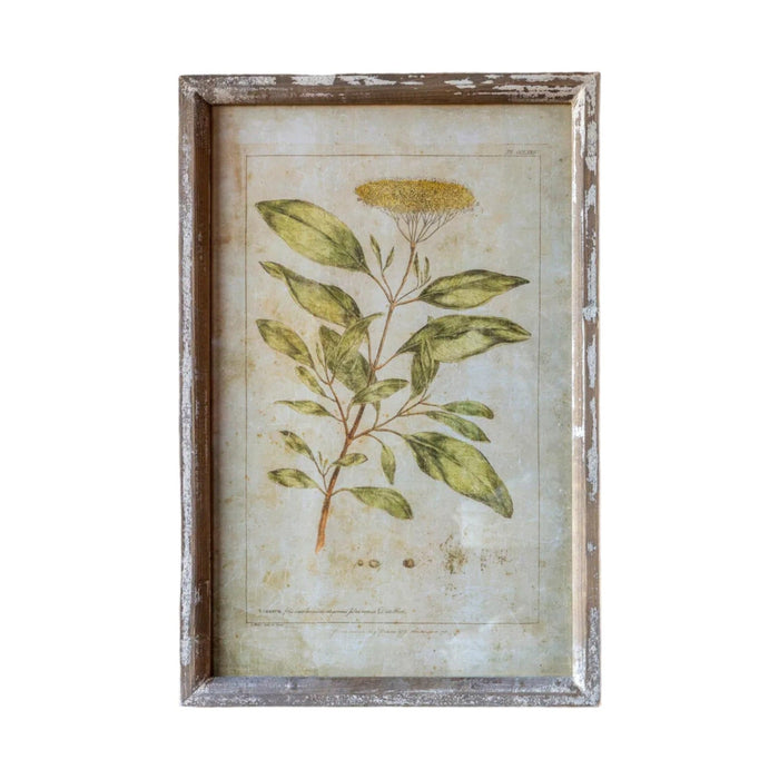 Botanical Print - Bratton's Uniques & Antiques