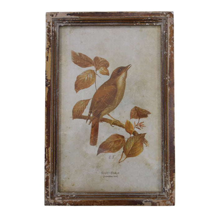 Collected Bird Print, Set of 3 - Bratton's Uniques & Antiques