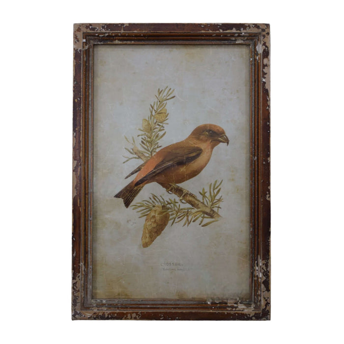 Collected Bird Print, Set of 3 - Bratton's Uniques & Antiques