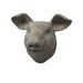 Decorative Weathered Pig's Head - Bratton's Uniques & Antiques