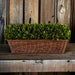 Extra Large Preserved Boxwood Hedge in Basket - Bratton's Uniques & Antiques