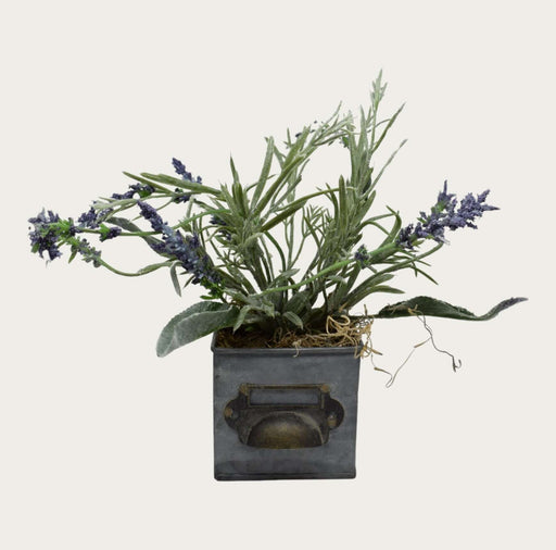Floral in Small File Container with Lavender - Bratton's Uniques & Antiques