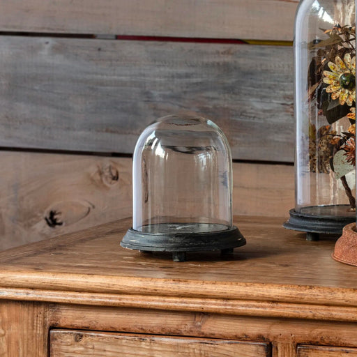 Small Display Dome w/ Weathered Black Base - Bratton's Uniques & Antiques